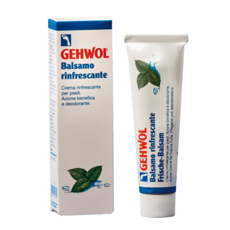GEHWOL Balsamo Rinfr.75ml GEHWOL Balsamo Rinfr.75ml