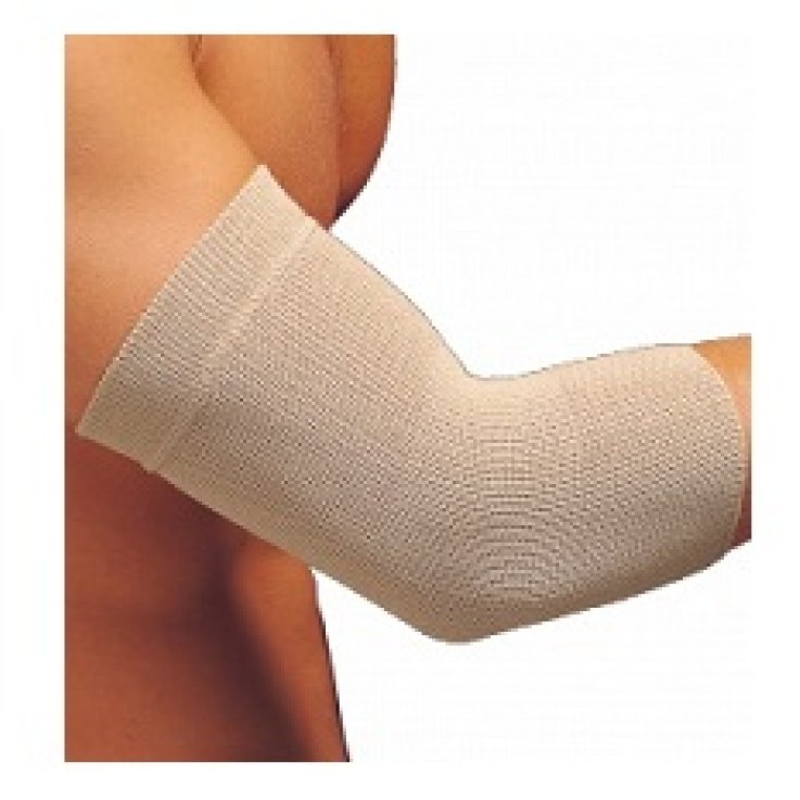 GIBAUD Bracc.Camel GIBAUD Bracc.Camel