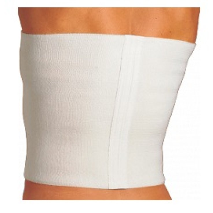 GIBAUD Cint.Support.cm 27 R 1 GIBAUD Cint.Support.cm 27 R 1