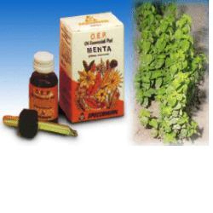 MENTA OLIO ESSENZIALE PURO 10 ML MENTA OLIO ESSENZIALE PURO 10 ML