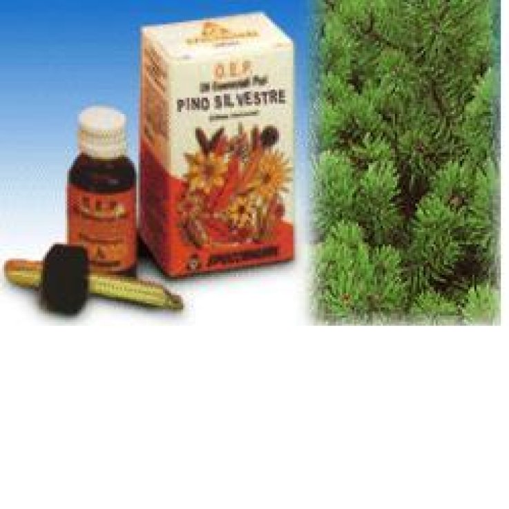 PINO SILVESTRE OLIO ESSENZIALE PURO 10 ML PINO SILVESTRE OLIO ESSENZIALE PURO 10 ML
