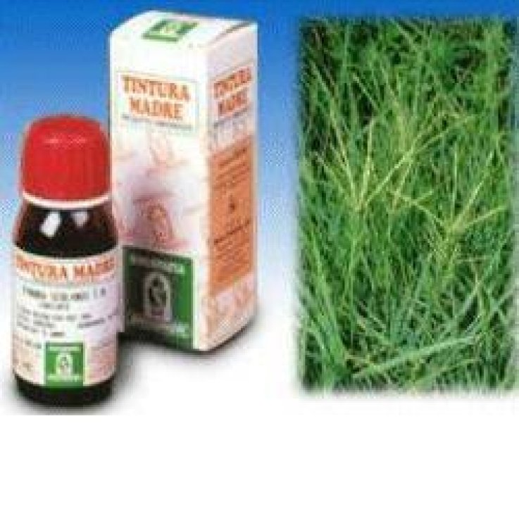 SP.GRAMIGNA 37 TM 50ml SP.GRAMIGNA 37 TM 50ml