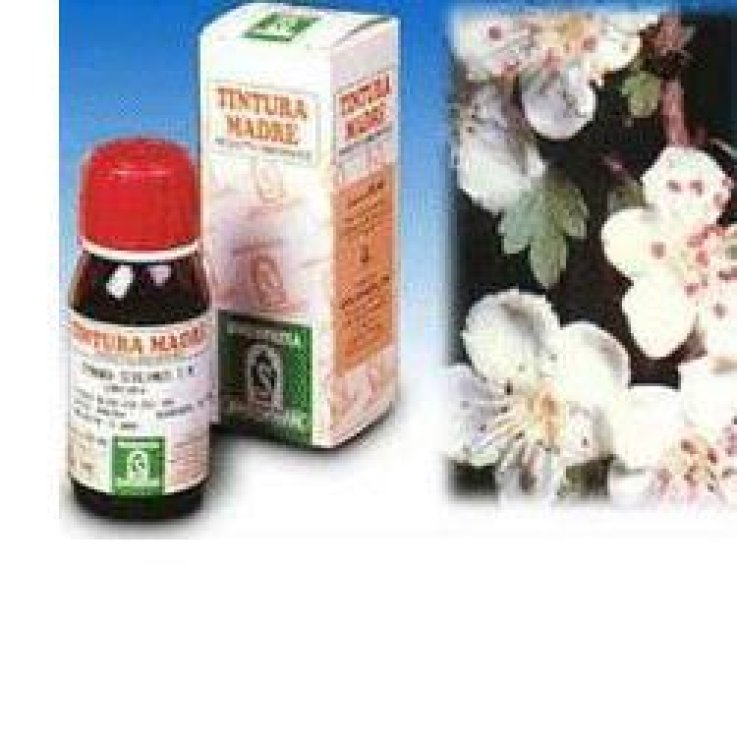 SP.BIANCOSPINO TM 50ml SP.BIANCOSPINO TM 50ml