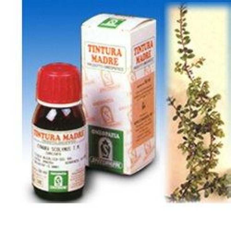 SP.UVA URSI TM 50ml SP.UVA URSI TM 50ml