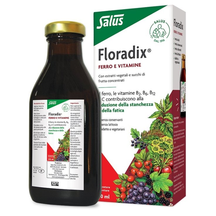 FLORADIX Integr.Ferro 250ml FLORADIX Integr.Ferro 250ml