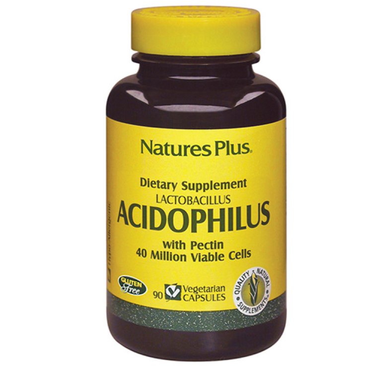 ACIDOPHILUS 90 Cps LASTREGA ACIDOPHILUS 90 Cps LASTREGA