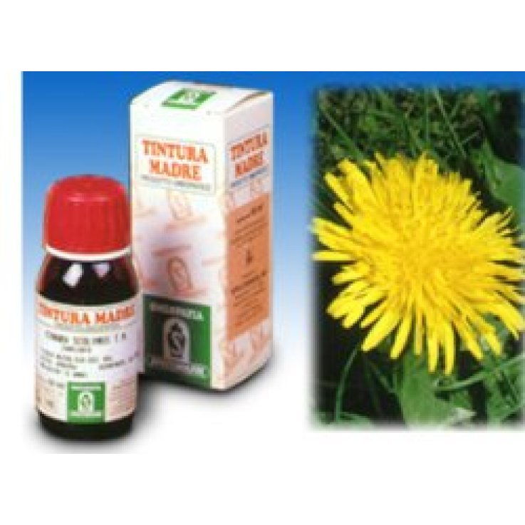SP.TARASSACO DENS LEON.TM 50ml SP.TARASSACO DENS LEON.TM 50ml