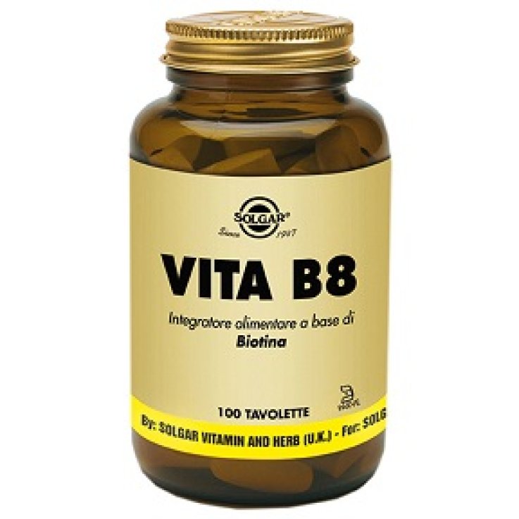 VITA B8 100 TAVOLETTE VITA B8 100 TAVOLETTE