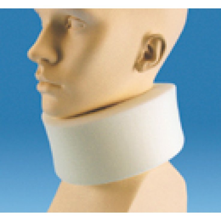 COLLARE CERV MORB M SAFETY COLLARE CERV MORB M SAFETY