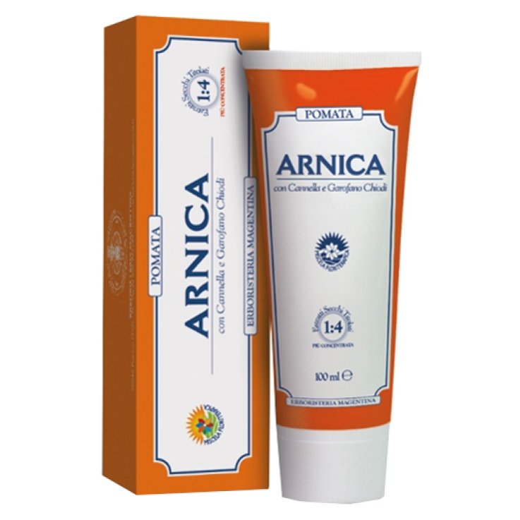 ARNICA FORTE POMATA 100mlERM ARNICA FORTE POMATA 100mlERM
