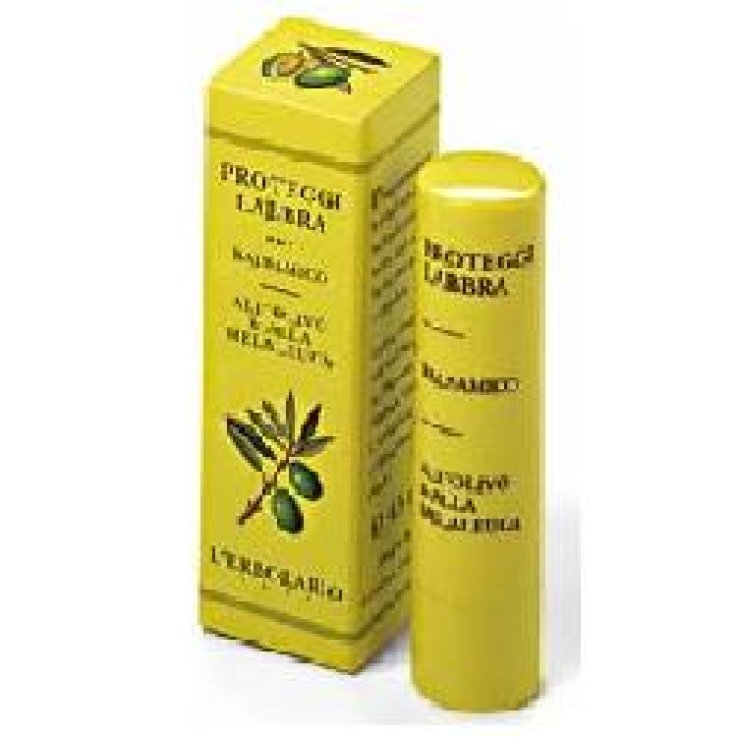PROTEGGILABBRA BALSAMO 4,5 ML PROTEGGILABBRA BALSAMO 4,5 ML
