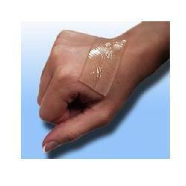 CICA-CARE 1Piastra Sil.cm12x 6 CICA-CARE 1Piastra Sil.cm12x 6