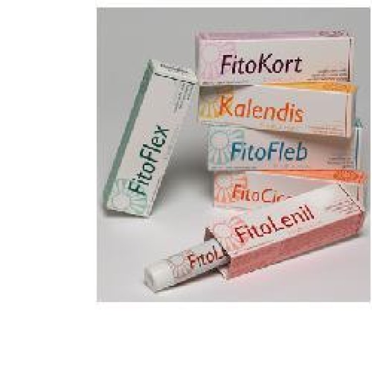 FITOFLEB GEL 100 ML