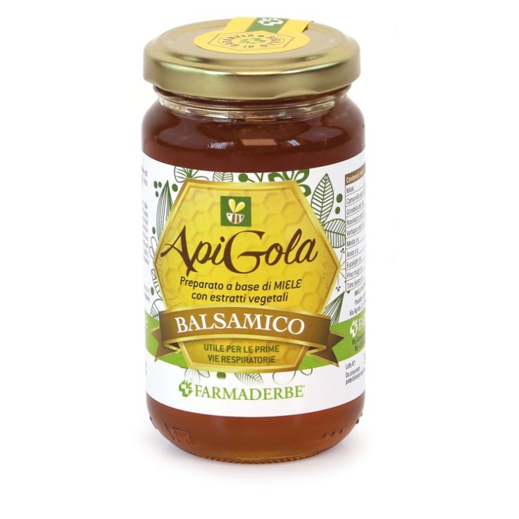 APIGOLA MIELE BALSAMICO 250G APIGOLA MIELE BALSAMICO 250G