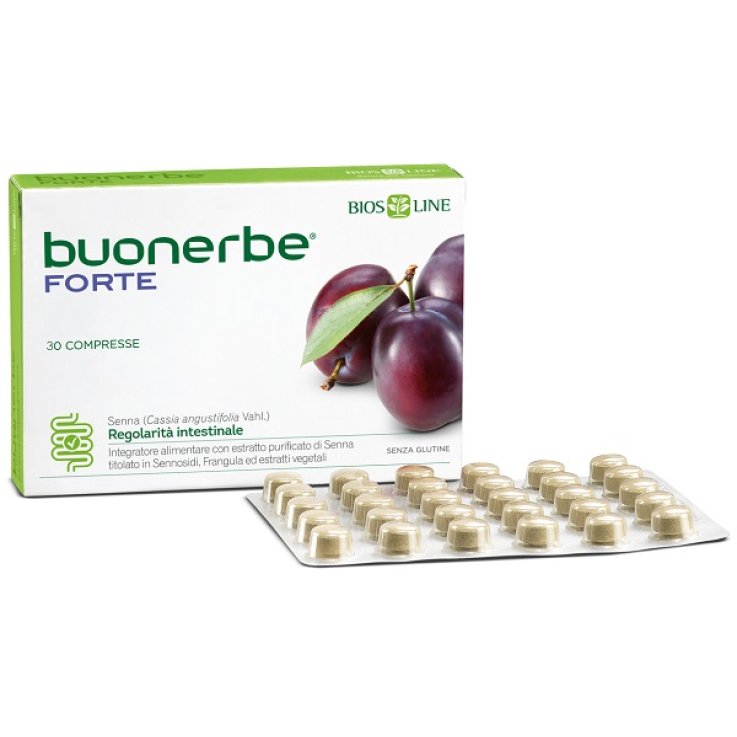 BUONERBE Regola Fte 30 Tav. BUONERBE Regola Fte 30 Tav.