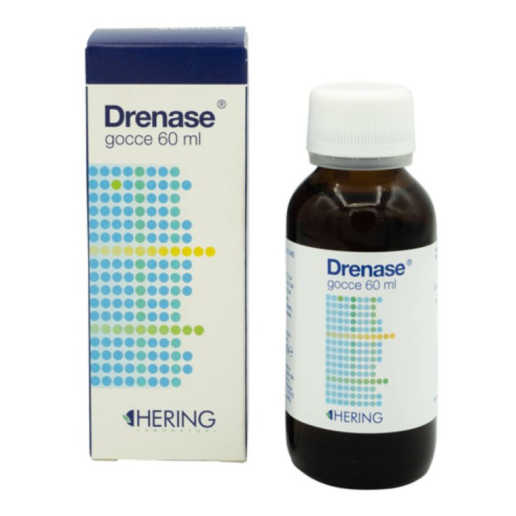 DRENASE Gtt 60ml DRENASE Gtt 60ml