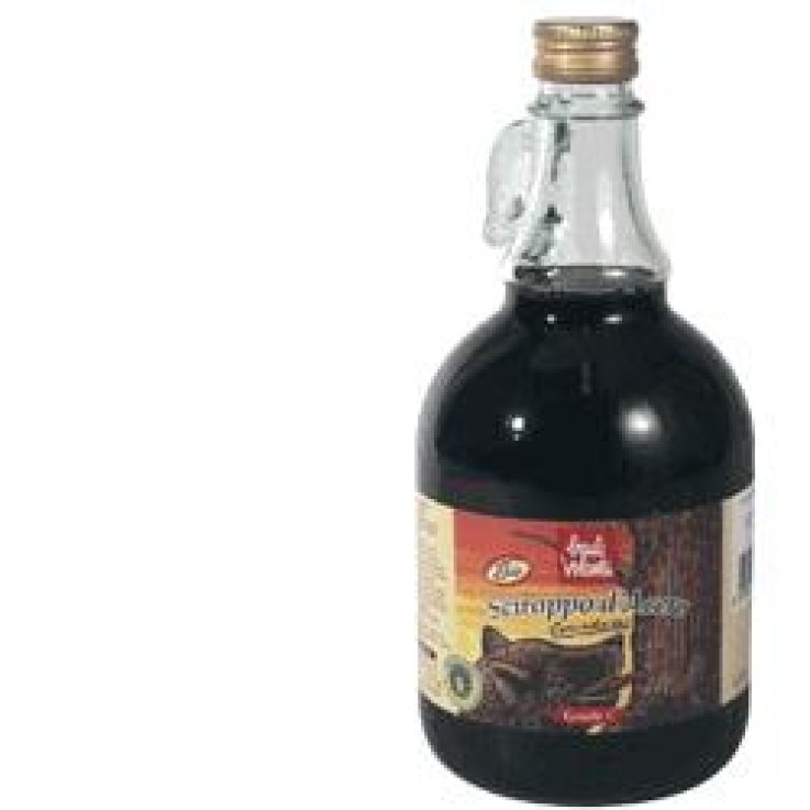 BAULE Acero Canadese C 1 Litro BAULE Acero Canadese C 1 Litro