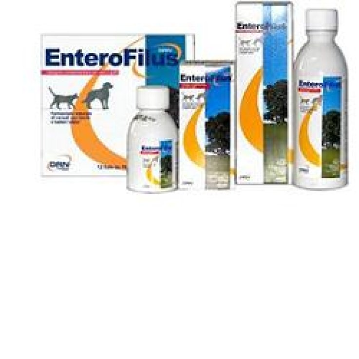 ENTEROFILUS Mang.Sempl.12x10ml ENTEROFILUS Mang.Sempl.12x10ml
