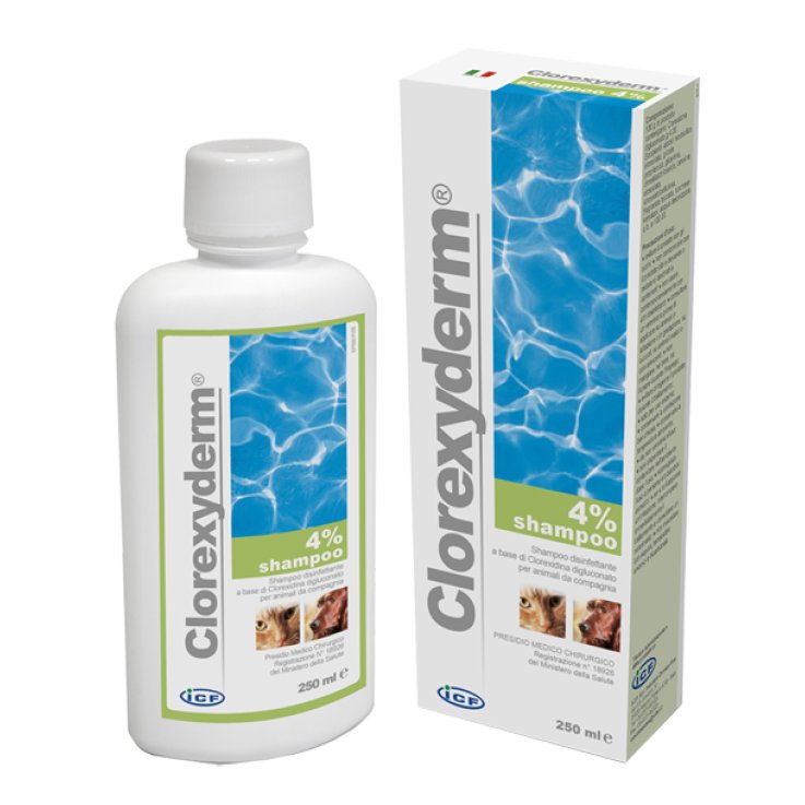 CLOREXYDERM Shampoo 4% 250ml CLOREXYDERM Shampoo 4% 250ml