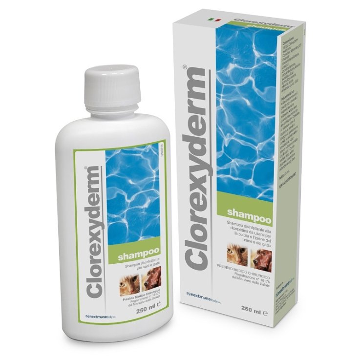CLOREXYDERM Shamp.250ml ANTIP. CLOREXYDERM Shamp.250ml ANTIP.