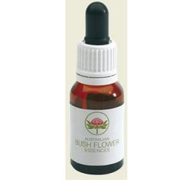 DAGGER HAKEA AUSTRAL.Gtt 15ml DAGGER HAKEA AUSTRAL.Gtt 15ml