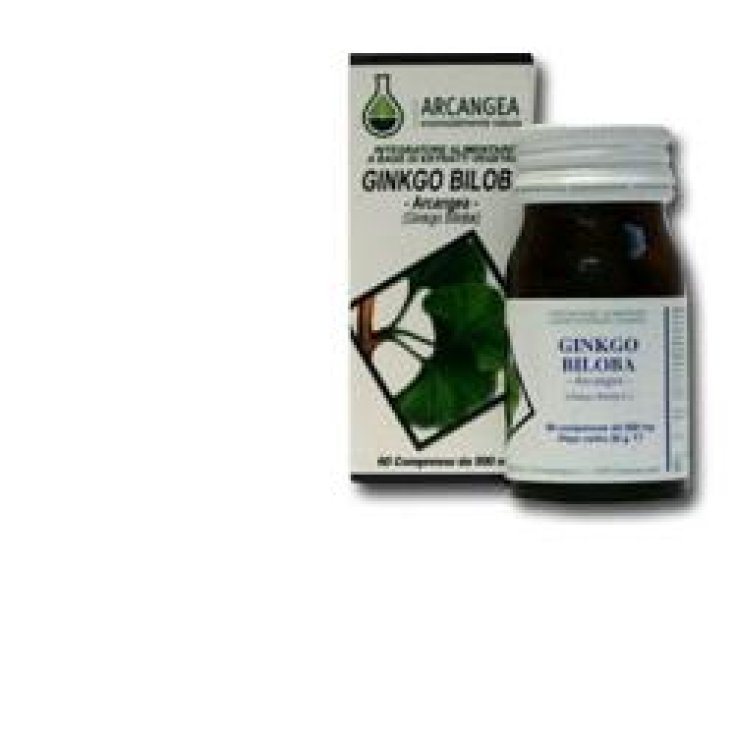 GINKGO BILOBA 60 Cps ACN GINKGO BILOBA 60 Cps ACN