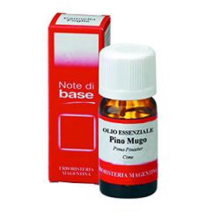 PINO MUGO Olio Ess.10ml ERM PINO MUGO Olio Ess.10ml ERM