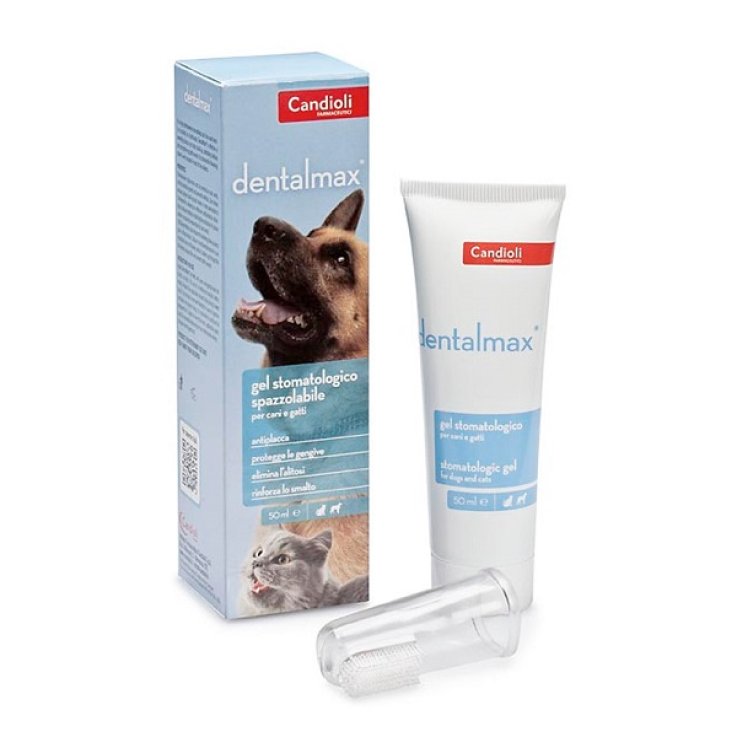 DENTALMAX Gel Stomatol.50ml DENTALMAX Gel Stomatol.50ml