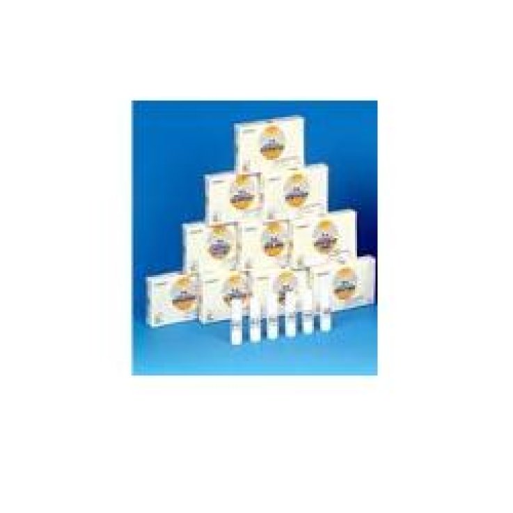 NOMABIT White Chestnut Glob.6g NOMABIT White Chestnut Glob.6g
