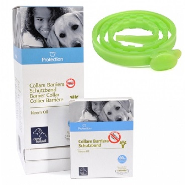 PROTECTION Coll.Barr.Cane PROTECTION Coll.Barr.Cane