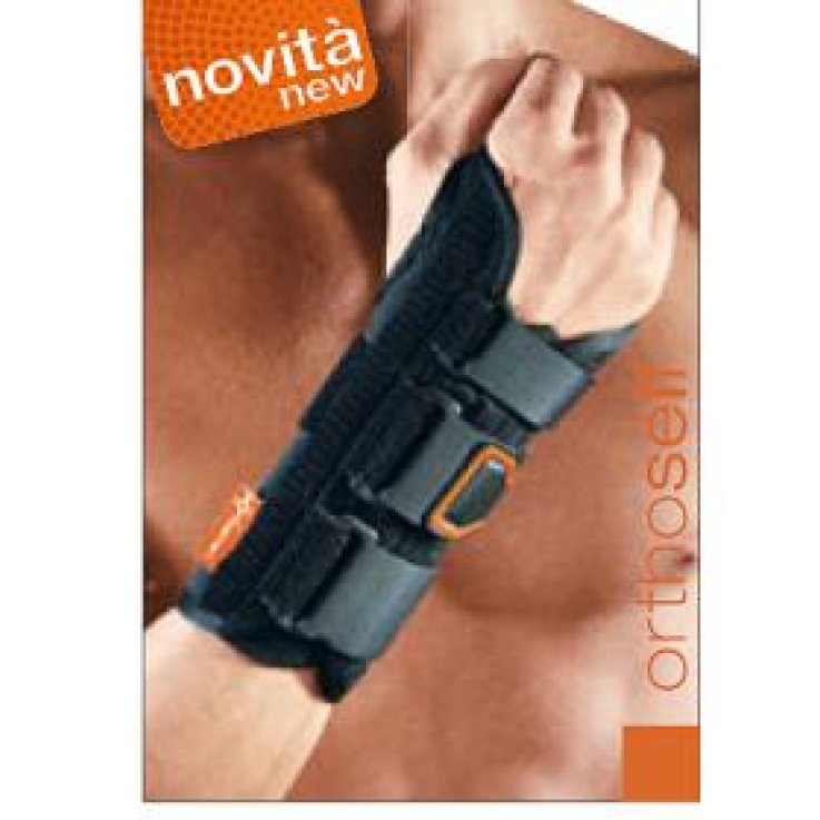 POLFIT 19 Pols.Sempl.Dx L POLFIT 19 Pols.Sempl.Dx L
