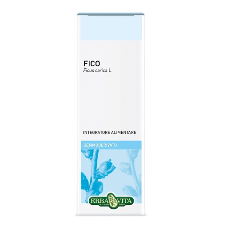 GEMMODERIVATO Fico 50ml EBV GEMMODERIVATO Fico 50ml EBV