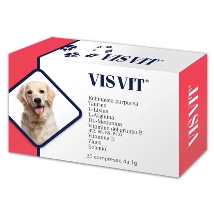 VISVIT 30 Cpr 1g VISVIT 30 Cpr 1g