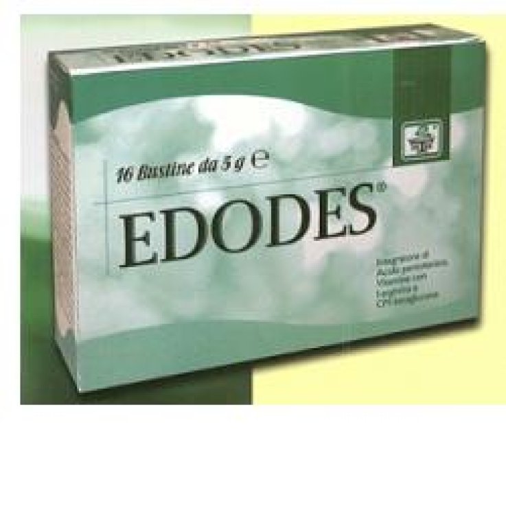 EDODES 16 BUSTINE EDODES 16 BUSTINE