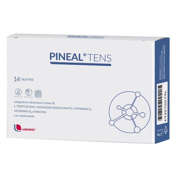 PINEAL TENS 14 Buste PINEAL TENS 14 Buste