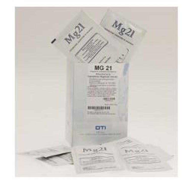 MG 21 25 BUSTINE MG 21 25 BUSTINE