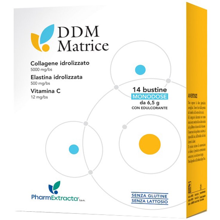 DDM Matrice 14 Bust. DDM Matrice 14 Bust.