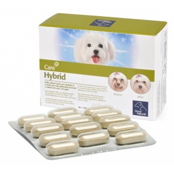 HYBRID ORME NAT.60 Cpr HYBRID ORME NAT.60 Cpr