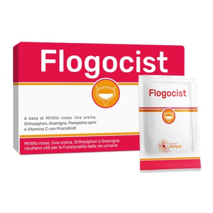 FLOGOCIST 10 Bust. FLOGOCIST 10 Bust.