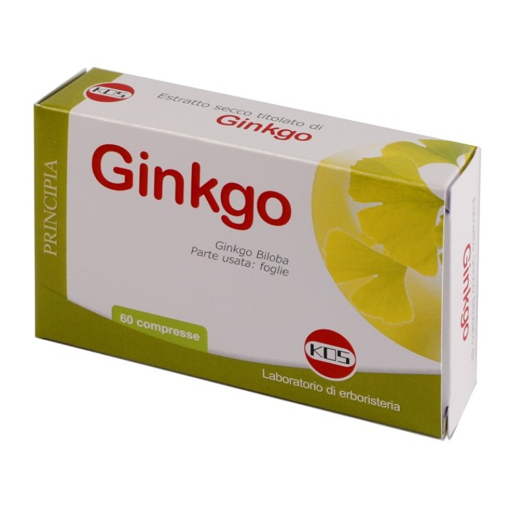 GINKGO BILOBA ES 60CPR GINKGO BILOBA ES 60CPR