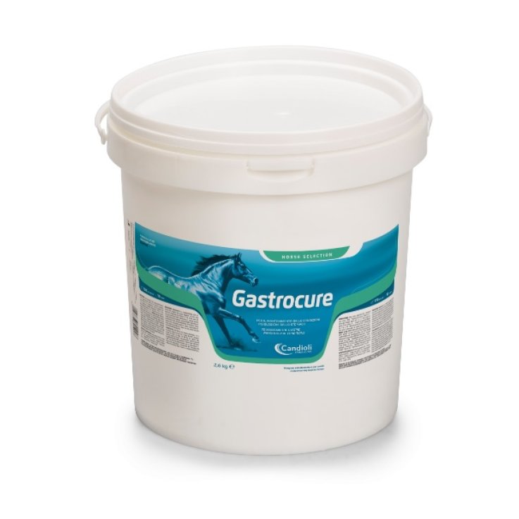GASTROCURE 2,6Kg GASTROCURE 2,6Kg