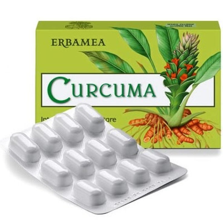 CURCUMA 24 Cps Veg.EBM CURCUMA 24 Cps Veg.EBM