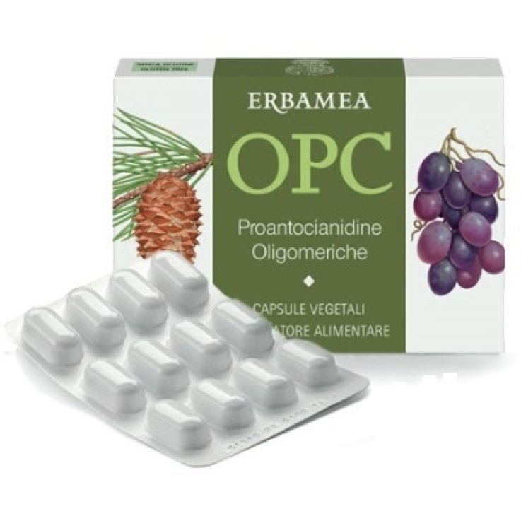 OPC 24 Cps EBM OPC 24 Cps EBM