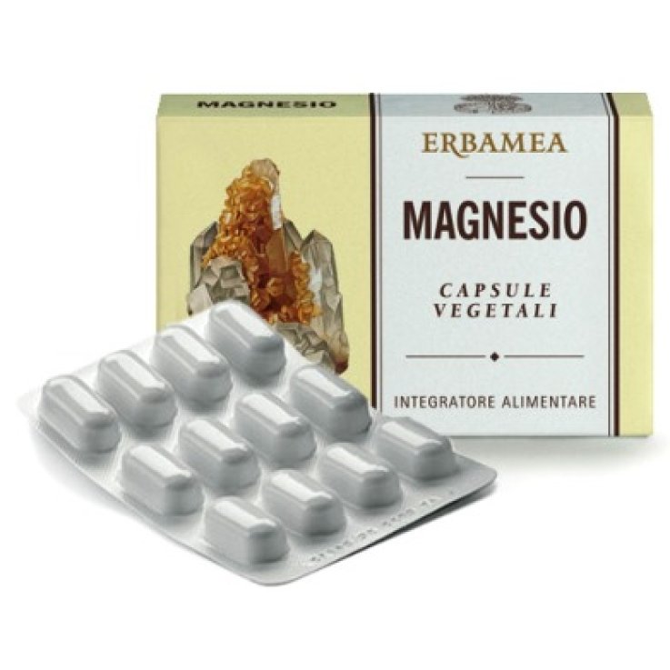 MAGNESIO 24 Cps 1200mg EBM MAGNESIO 24 Cps 1200mg EBM