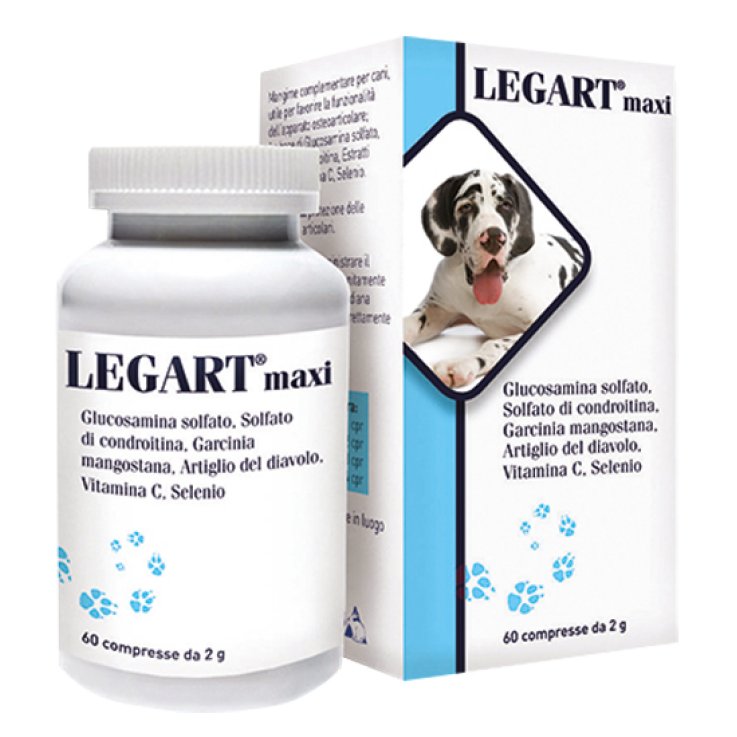 LEGART Maxi 60 Cpr 2g LEGART Maxi 60 Cpr 2g