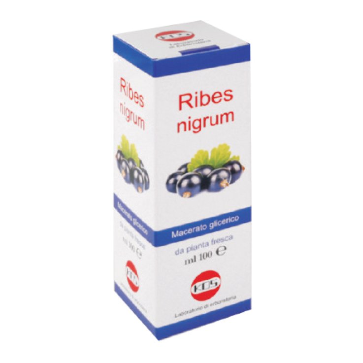 RIBES NIGRUM MG 100ml KOS RIBES NIGRUM MG 100ml KOS
