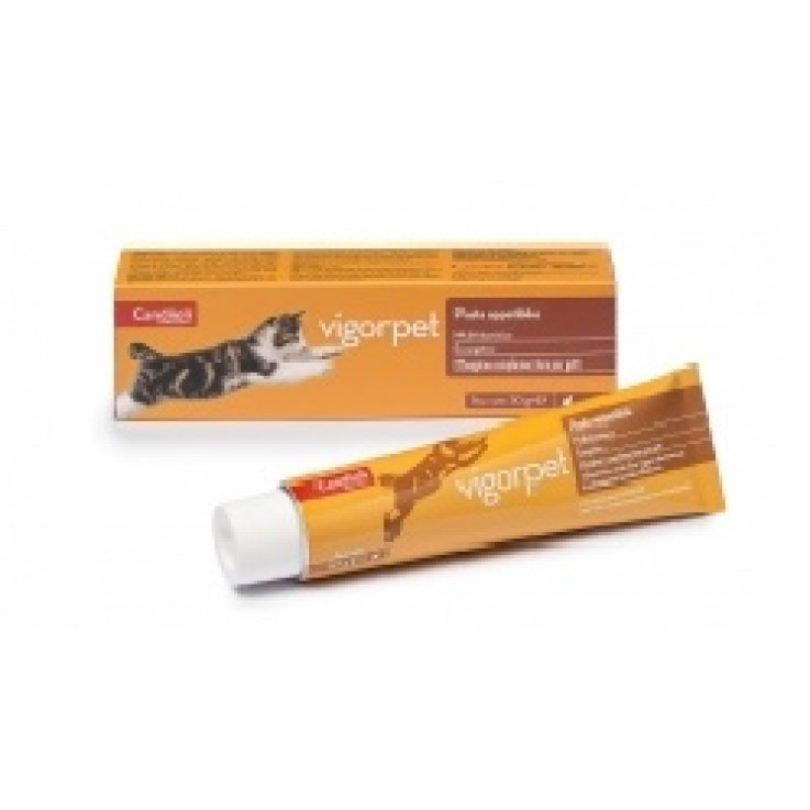VIGORPET Pasta Gatti 50g VIGORPET Pasta Gatti 50g
