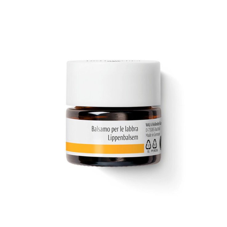 DR HAUSCHKA Bals.Labbra 4,5g DR HAUSCHKA Bals.Labbra 4,5g