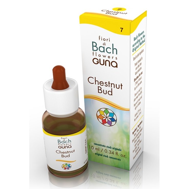 BACHFLOWERS 7 ChestnutBud10ml BACHFLOWERS 7 ChestnutBud10ml