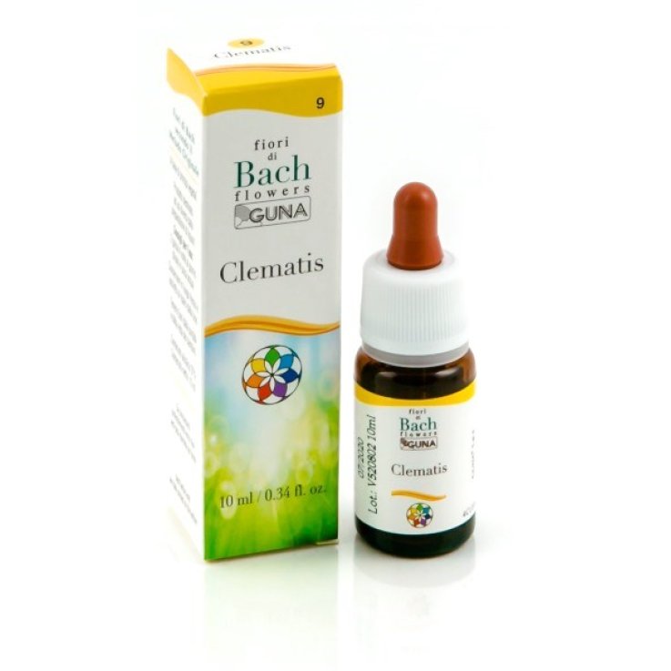 BACHFLOWERS 9 Clematis 10ml BACHFLOWERS 9 Clematis 10ml
